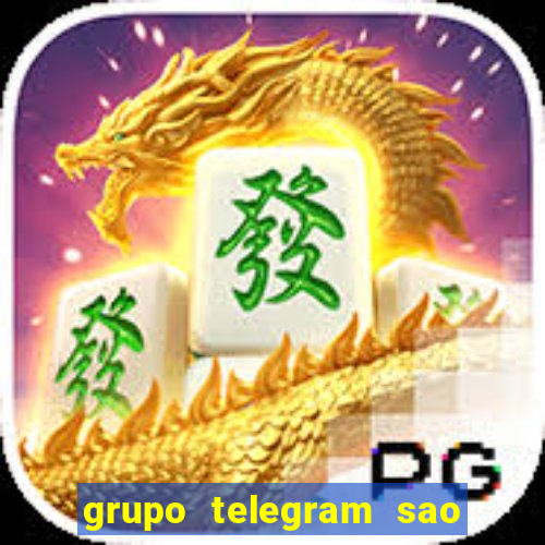 grupo telegram sao jose do rio preto